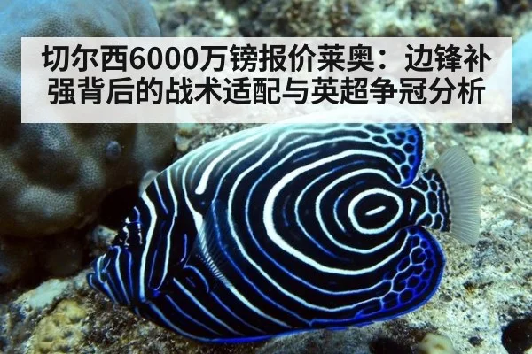 切尔西6000万镑报价莱奥：边锋补强背后的战术适配与英超争冠分析