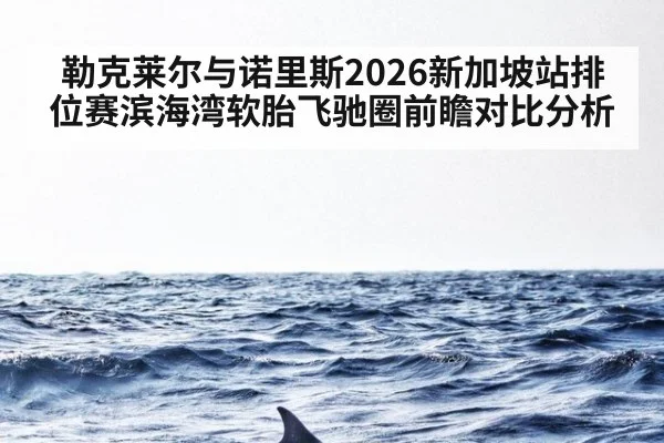 勒克莱尔与诺里斯2026新加坡站排位赛滨海湾软胎飞驰圈前瞻对比分析