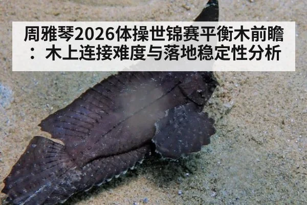 周雅琴2026体操世锦赛平衡木前瞻：木上连接难度与落地稳定性分析